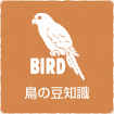 鳥の豆知識